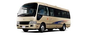 300-120micro-bus.jpg